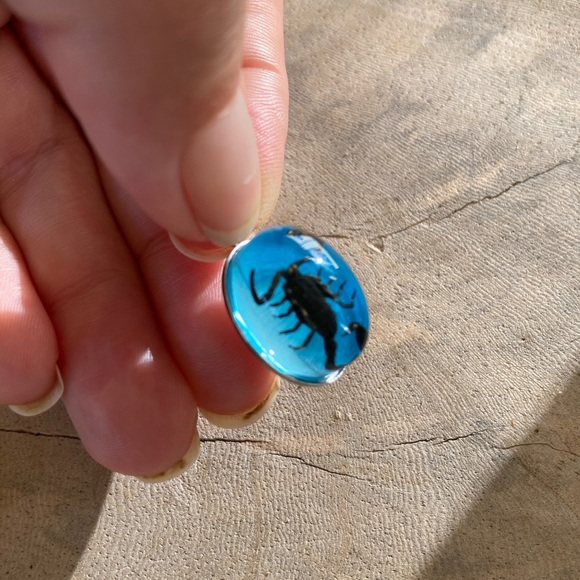 Real Ant Scorpion Beetle Spider Pendant Necklace Taxidermy insect necklace chain - Picture 5 of 11